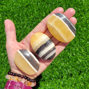 May include: Three oval-shaped stones with a mix of yellow, black, and white bands. The stones are held in a hand against a backdrop of green grass. The stones have a polished, smooth surface.
