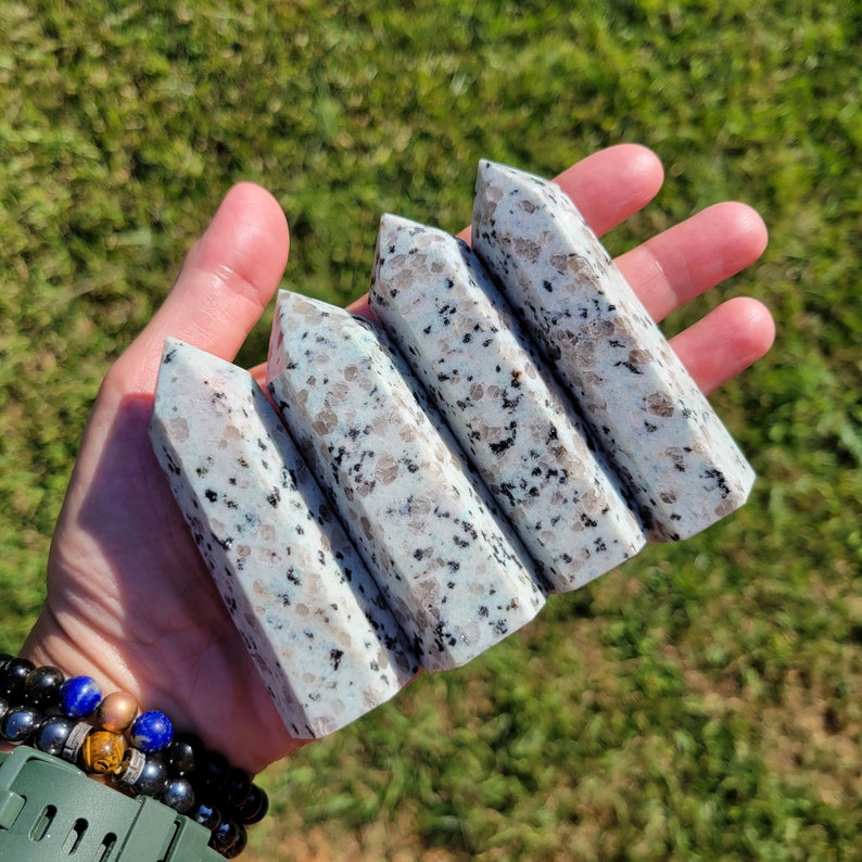 May include: Four polished kyanite crystal wands. Each wand is a rectangular prism with a pointed top. The wands are light gray with black and brown speckles. The background is green grass.