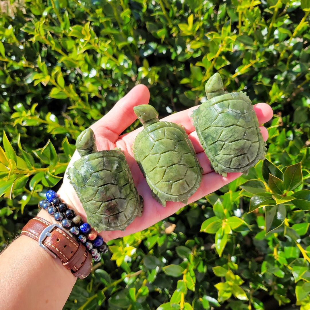 Nephrite Jade Turtle Carving 3.25 / Turtle Crystal Carving / Polished Green Jade Turtle / Hand