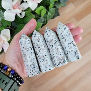 May include: Four white and gray speckled crystal towers with pointed tops. The crystals are held in a hand, with a background of flowers and greenery. The crystals have a polished finish and a natural, speckled pattern.