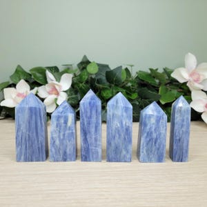 May include: Six blue kyanite crystal towers are arranged in a row. The crystals have a natural, textured appearance with varying shades of blue. The background features white flowers and green foliage, set against a light green wall.