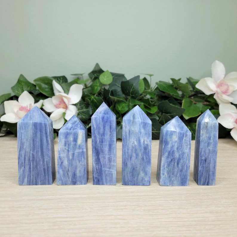 May include: Six blue kyanite crystal towers are arranged in a row. The crystals have a natural, textured appearance with varying shades of blue. The background features white flowers and green foliage, set against a light green wall.
