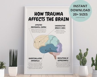 How Trauma Affects The Brain Therapist Office Decor PTSD Recovery CBT DBT Therapy Counseling Aid Social Worker School Psychologist Corner