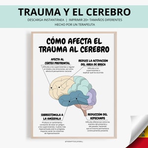 Cómo Afecta o TRAUMA al Cerebro Efeitos do Trauma Psicoterapeuta Psicólogos Terapeuta Decoração de Escritório Terapia Aconselhamento Psicólogo Escolar