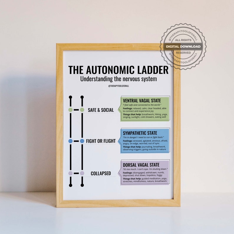 May include: A printable poster with a light brown wooden frame. The poster is white with black text and a diagram of the autonomic nervous system. The diagram shows three states: ventral vagal, sympathetic, and dorsal vagal. Each state is represented by a colored circle and a description of the state's feelings and things that help.