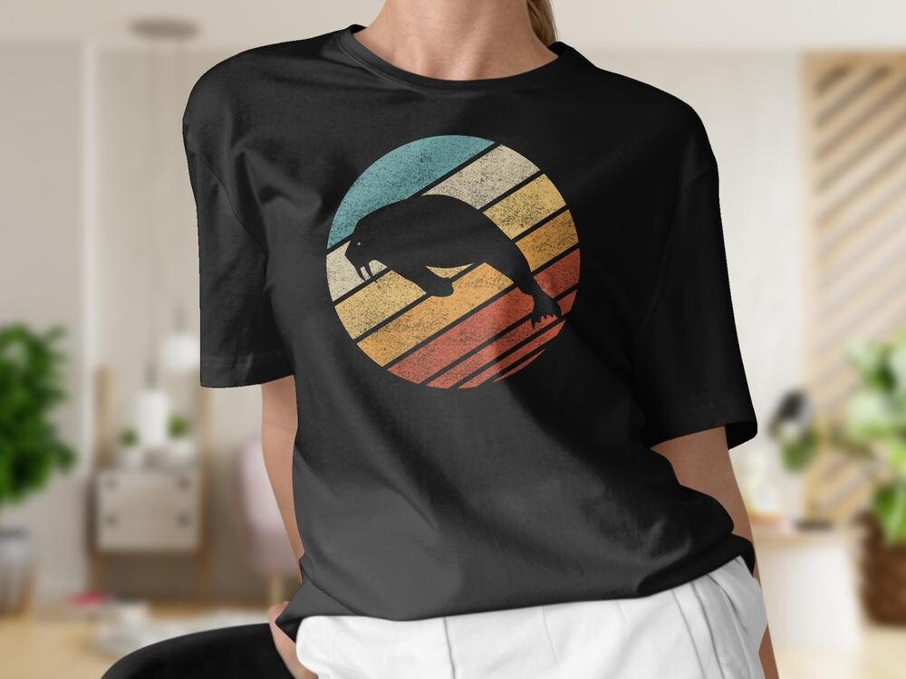 Retro Vintage Sunset Louisville T-Shirt Graphic by LittlePerfect