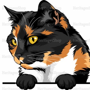 Ecaille de tortue  - Portrait de Chat - Illustration Chat - A télécharger .svg .png .jpg ***Utilisation commerciale autorisée***