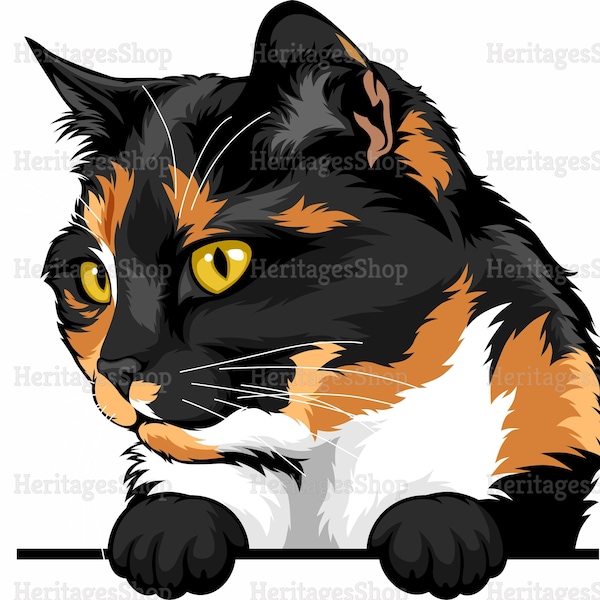 Tortoisesell Cat Breed illustration - Peeking line - PeekABoo - .svg .png .jpg ***Commercial License INCLUDED***