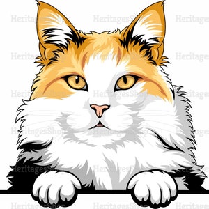Turc de van  - Portrait de Chat - Illustration Chat - A télécharger .svg .png .jpg ***Utilisation commerciale autorisée***