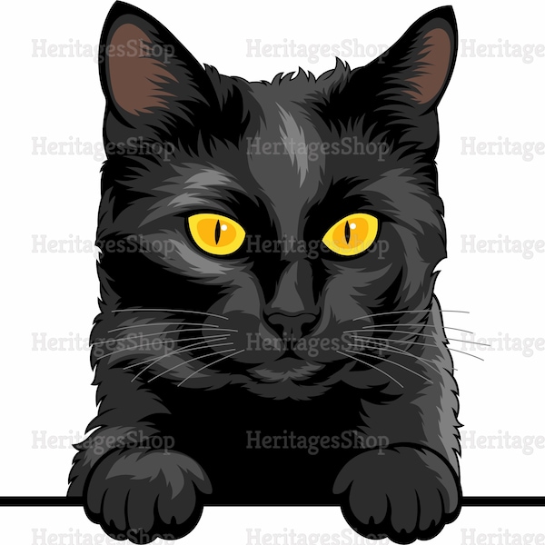 Bombay Cat Breed illustration portrait - Peeking line - PeekABoo - .svg .png .jpg ***Commercial License INCLUDED***