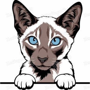 Siamese Cat Breed illustration - Peeking line - PeekABoo - .svg .png .jpg ***Commercial License INCLUDED***