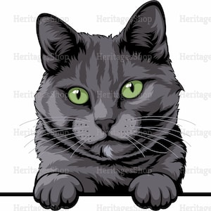 Bleu russe - Portrait de Chat - Illustration Chat - A télécharger .svg .png .jpg ***Utilisation commerciale autorisée***