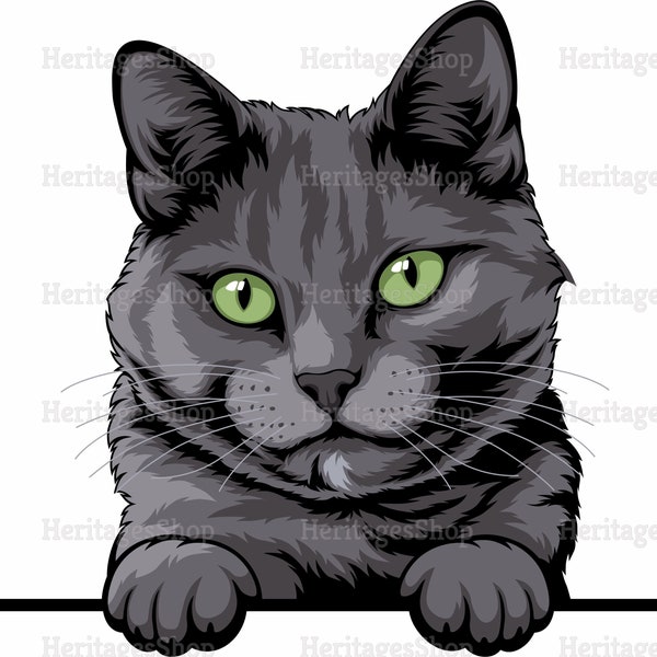 Russian blue Cat Breed illustration - Peeking line - PeekABoo - .svg .png .jpg ***Commercial License INCLUDED***