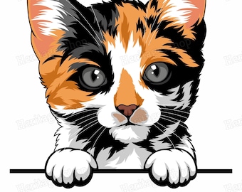 Pixilart - editable cat pfp by Timolotl