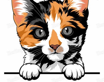 Pixilart - editable cat pfp by Timolotl