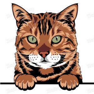 Bengal - Portrait de Chat - Illustration Chat - A télécharger .svg .png .jpg ***Utilisation commerciale autorisée***