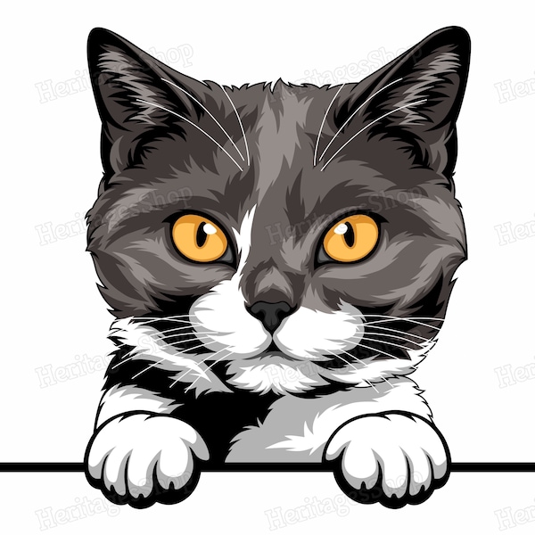 British shorthair Cat Breed illustration - Peeking line - PeekABoo - .svg .png .jpg ***Commercial License INCLUDED***