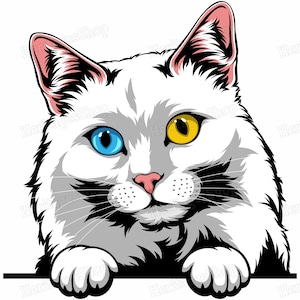 Angora Turc - Portrait de Chat - Illustration Chat - A télécharger .svg .png .jpg ***Utilisation commerciale autorisée***