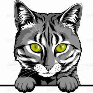Mau Egytien - Portrait de Chat - Illustration Chat - A télécharger .svg .png .jpg ***Utilisation commerciale autorisée***