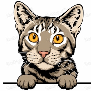Ocicat - Portrait de Chat - Illustration Chat - A télécharger .svg .png .jpg ***Utilisation commerciale autorisée***