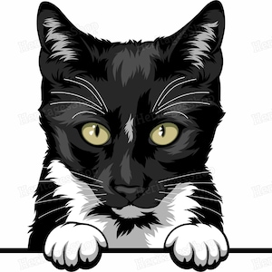 Tuxedo - Portrait de Chat - Illustration Chat - A télécharger .svg .png .jpg ***Utilisation commerciale autorisée***
