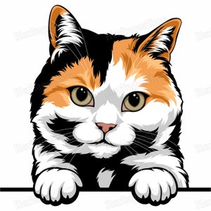 Bobtail Japonais - Portrait de Chat - Illustration Chat - A télécharger .svg .png .jpg ***Utilisation commerciale autorisée***