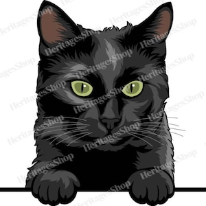 Zwarte kat - Groene ogen illustratie portret - Gluren lijn - PeekABoo - .svg .png .jpg ***Commerciële licentie INBEGREPEN***