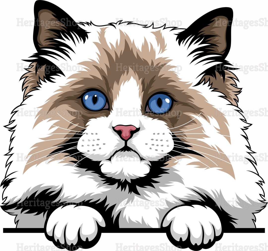 Ragdoll Cat Breed Illustration - Peeking Line - Peekaboo - .svg