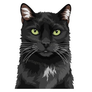 Bombay - Portrait de Chat - Illustration Chat - A télécharger .svg .png .jpg ***Utilisation commerciale autorisée***