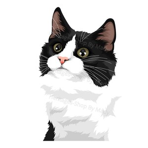 Munchkin - Portrait de Chat - Illustration Chat - A télécharger .svg .png .jpg ***Utilisation commerciale autorisée***