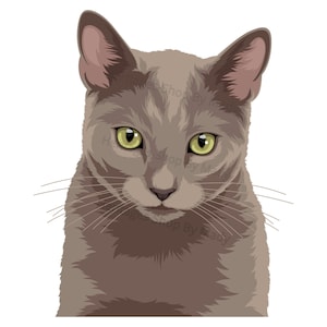 Bleu Russe - Portrait de Chat - Illustration Chat - A télécharger .svg .png .jpg ***Utilisation commerciale autorisée***