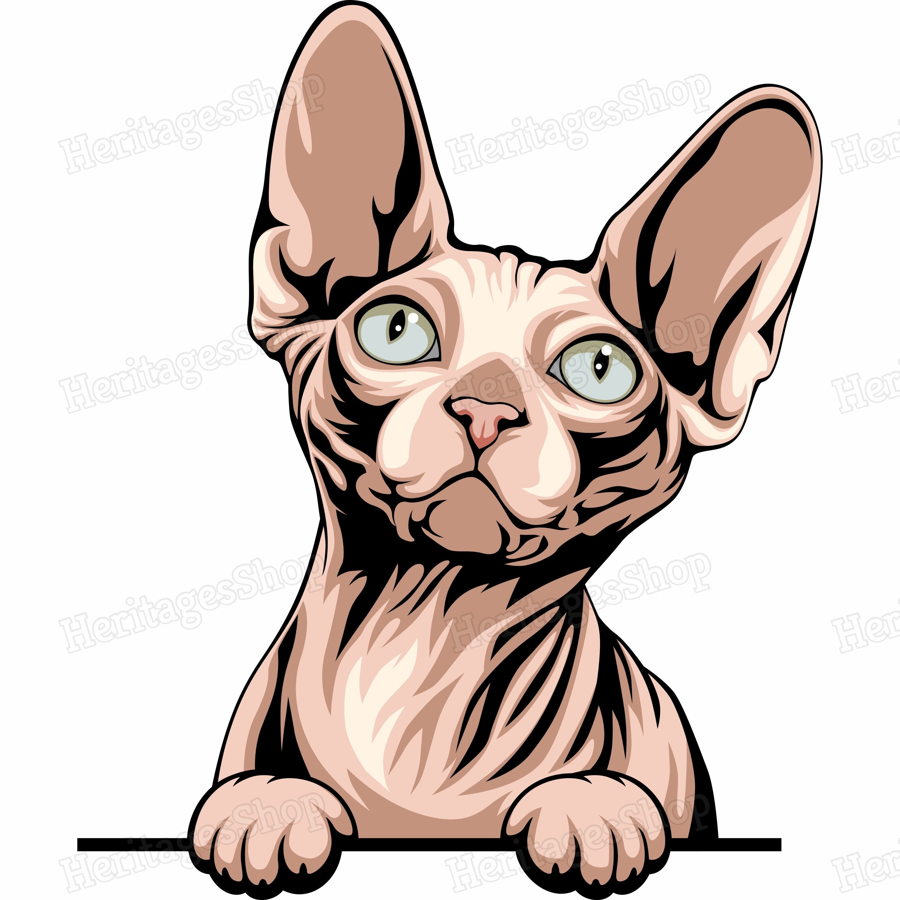 Sphynx Nude Cat Breed Illustration Peeking Line Peekaboo .svg .png