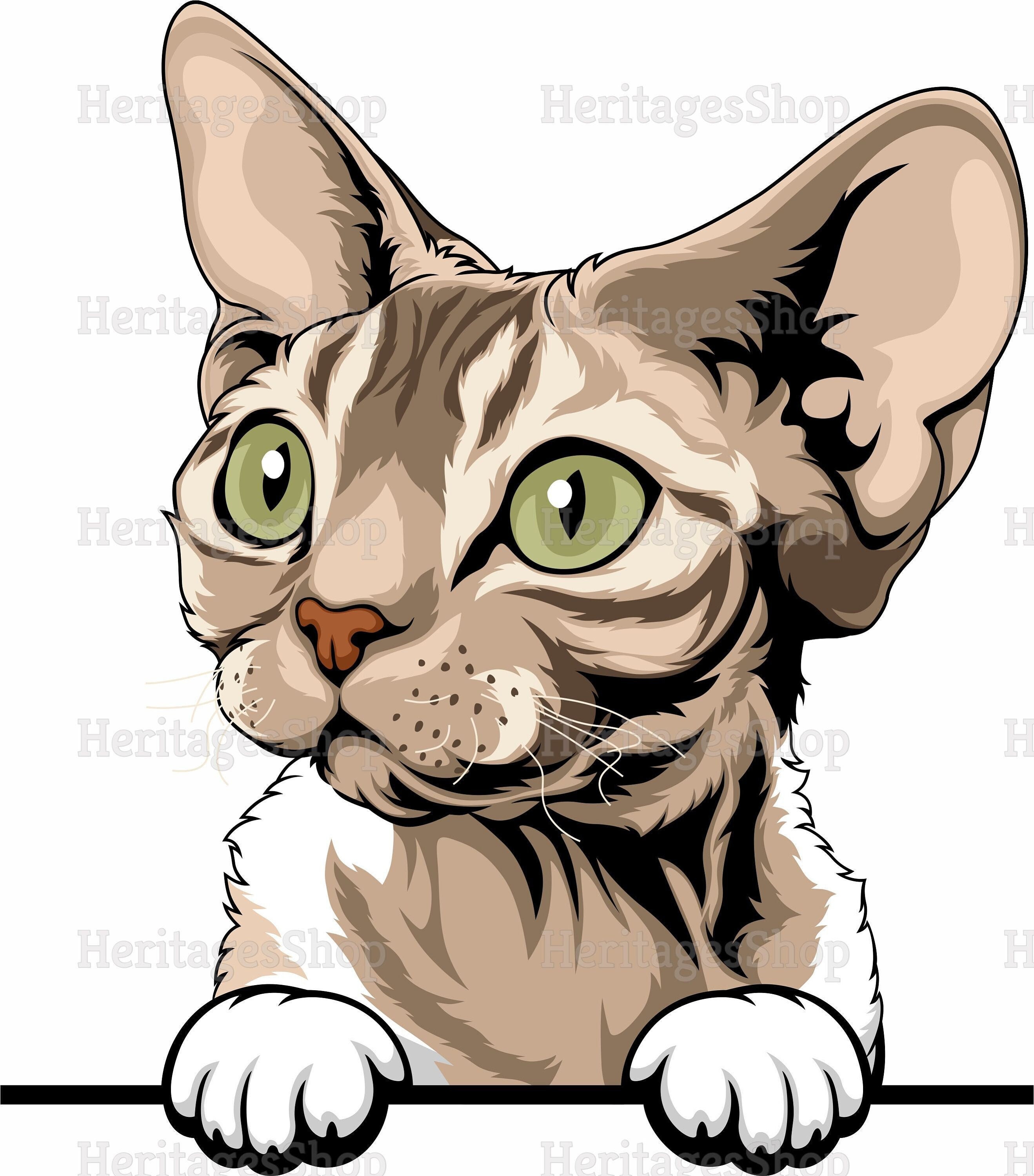 Devon Rex Cat Breed Illustration Peeking Line Peekaboo .svg .png .jpg