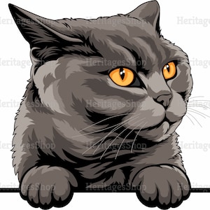 British shorthair - Portrait de Chat - Illustration Chat - A télécharger .svg .png .jpg ***Utilisation commerciale autorisée***