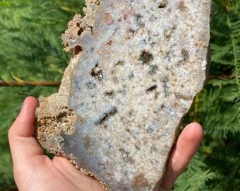 AAA Ocean Jasper Slab, White Orbicular Fish Eye Jasper, Madagascar