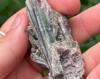 Pastel Tourmaline Specimen, Pink and Blue Indicolite Cluster, Brazil