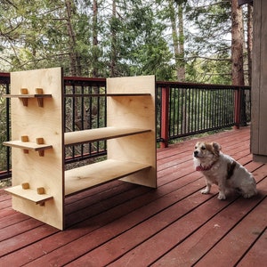 May include: A wooden shelf unit with three shelves, made of plywood, is sitting on a wooden deck. The shelf unit is unfinished and has a natural wood color. A small dog is sitting on the deck, looking at the shelf unit.