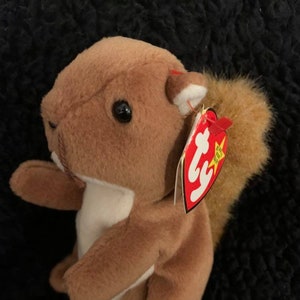 Puede incluir: Una ardilla de peluche marrón y blanca con una etiqueta roja de Ty que dice "Beanie Babies" y tiene una estrella. La ardilla está sentada sobre una superficie negra y peluda.
