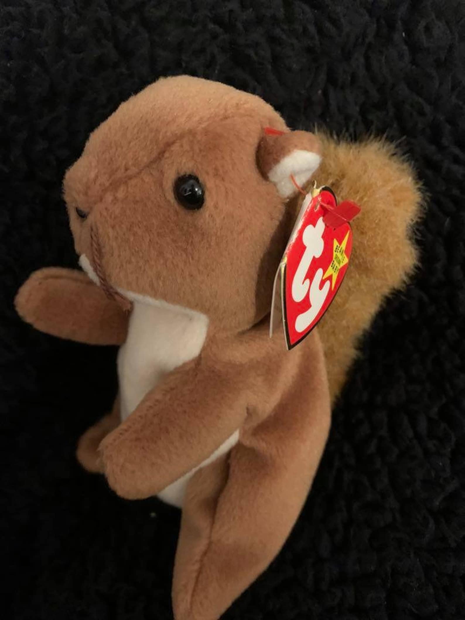 Nuts the Squirrel Beanie Baby Original Etsy