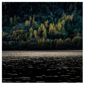 Autumn trees & water, Thirlemere, Lake District national Park, Cumbria, abstract, fine art print, landscape photography, nature