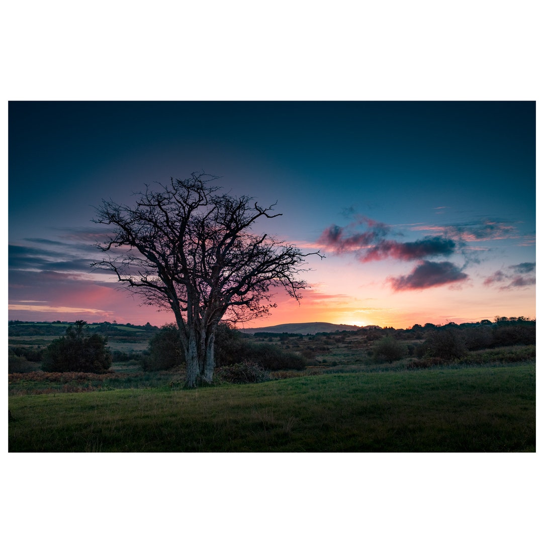 Sunrise, Llantrisant Common, Rhondda Cynon Taff, South Wales, Landscape