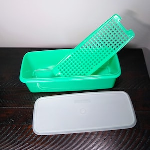 May include: A green rectangular container with a matching perforated insert and a white lid. The container and insert are made of plastic. The lid is rectangular with rounded corners. The items are on a dark wooden surface.