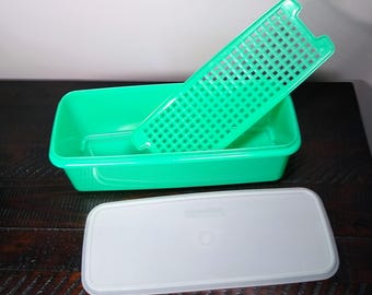 Large Jadeite Tupperware Celery Keeper, Vintage Veggie Crisper with Lid and Insert.