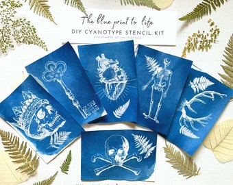 Halloween Cyanotype DIY stencils with paper, skeleton, craft kit ,  cyanotype , things to make  , printing kit
