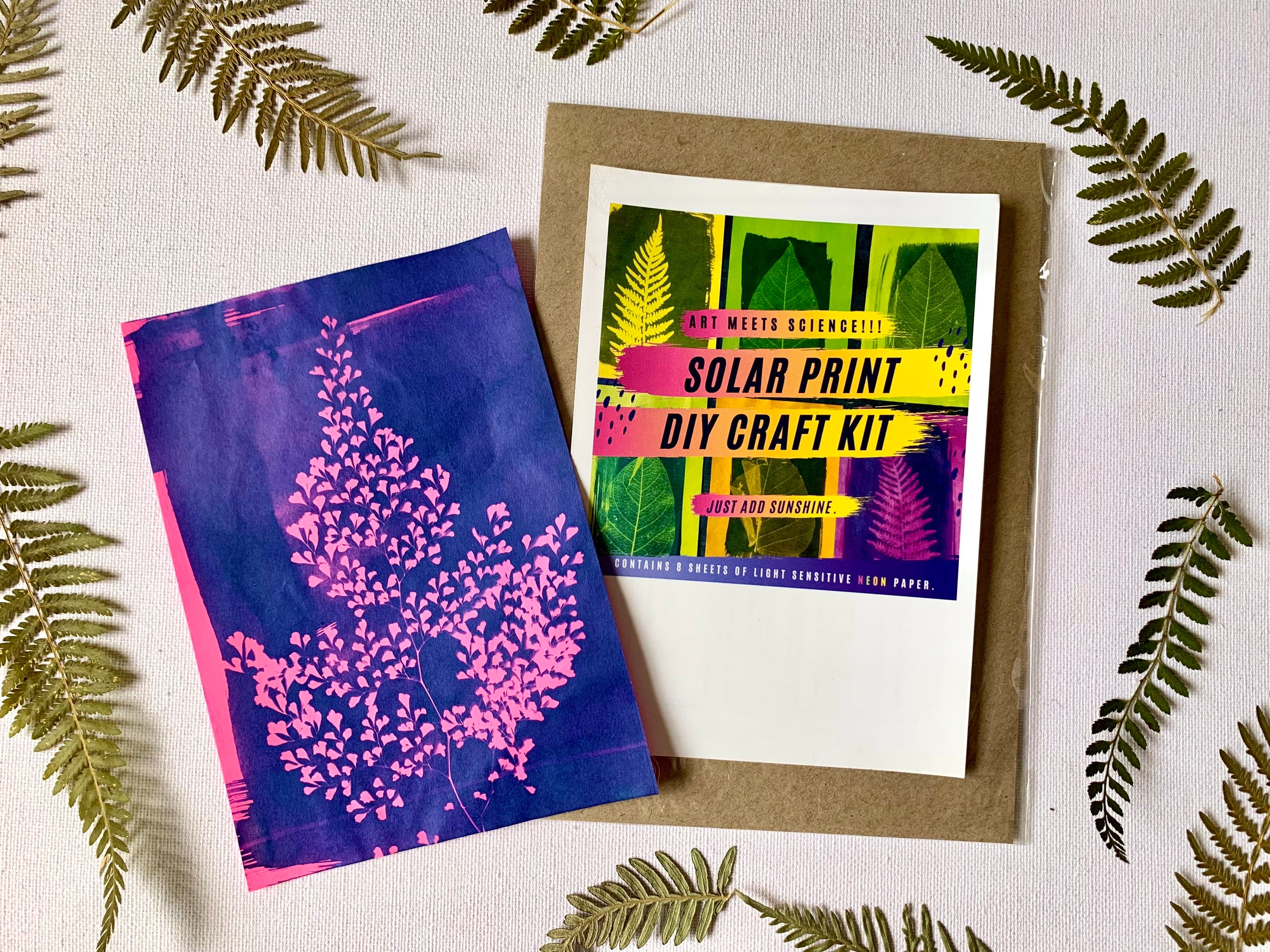 Sun Print Paper Craft Sun Print Paper Neon Kit Sun Etsy