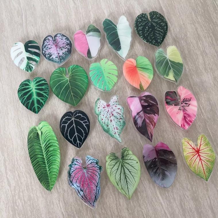 Monstera Leaf Phone Holder: Acrylic Plant Lover Gift