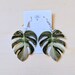 Variegated Monstera Leaf Hypoallergenic Drop Plant Earrings 
