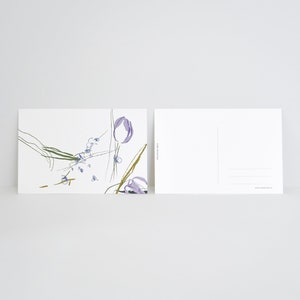 Lot de cartes postales assorties (3 pcs) | Carte postale illustrée de 4 x 6 po. | Tulipe | Lotus | gloire du matin | Cartes de Noël | Ensemble de cartes postales florales