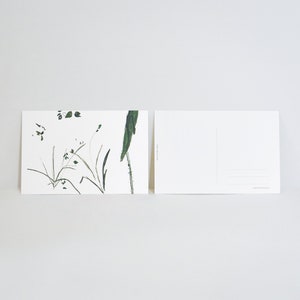 Lot de cartes postales assorties (3 pcs) | Carte postale illustrée de 4 x 6 po. | Feuillage | Physalis | Lys | Cartes de Noël | Ensemble de cartes postales florales