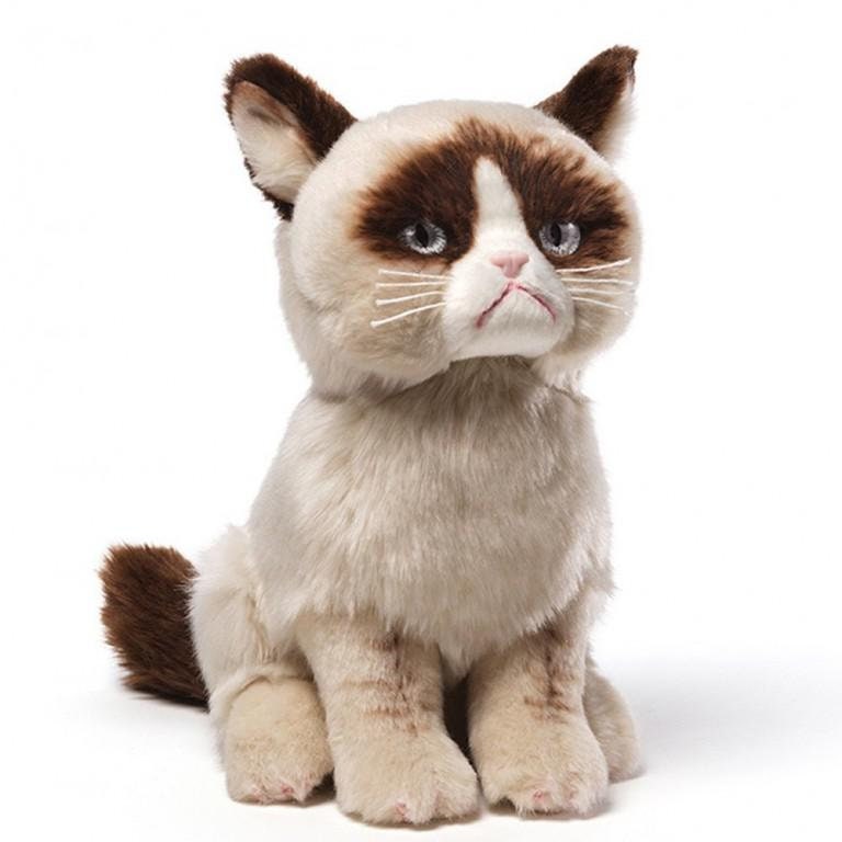 mot Vuilnisbak Concentratie Grumpy cat plush - Etsy België